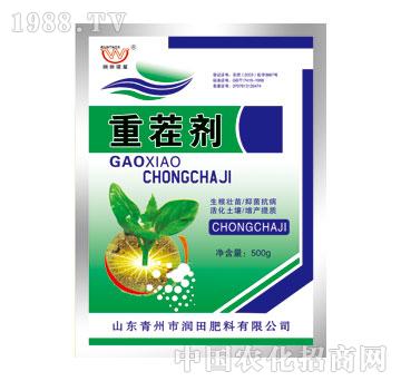 ��(r��n)��-�ز焩