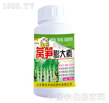 ����-�n�S�����