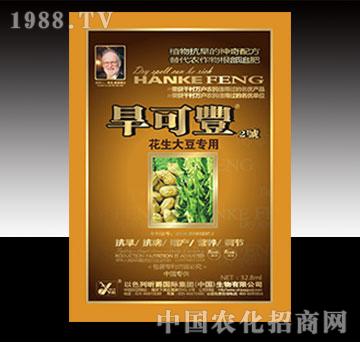 �����S�������󶹣�-꿾�