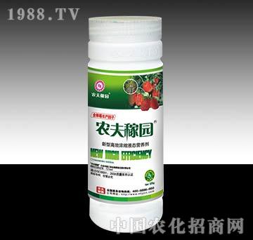 �r��ڈ@_����ݮ��