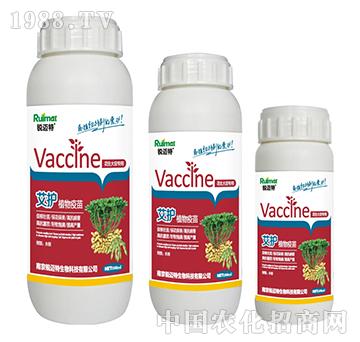 ���oֲ�����绨���󶹌���-�J�~��