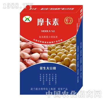 �����󶹌��ð���������Һ�ķ�-Ħ����-��(qi��ng)о��(gu��)�H