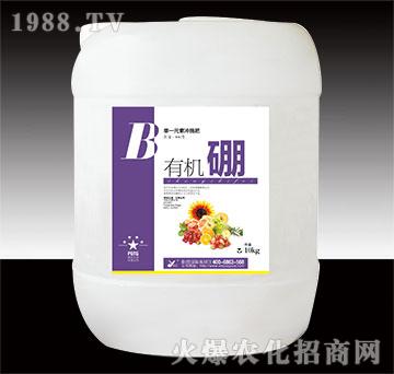 �ЙC(j��)��-꿾�