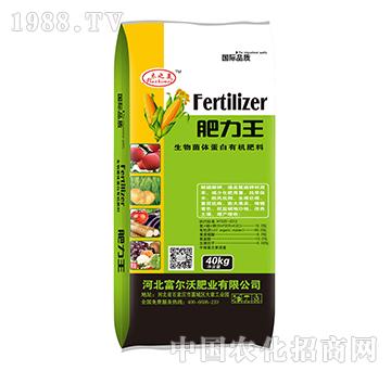 ������w�����ЙC(j��)����40kg-������-������