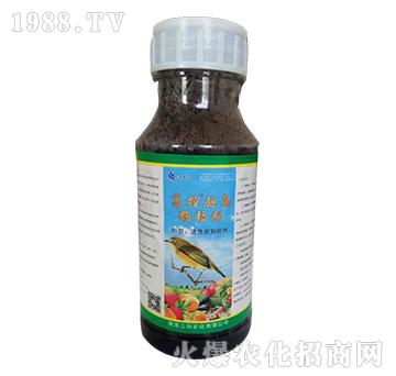 �߿��(q��)�B�w����-�읙(r��n)����