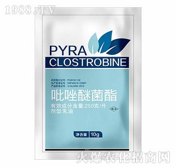 �����Ѿ���-�hҊ�r(n��ng)�I(y��)