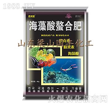 ���������Ϸ�-��ɽ��(gu��)�S