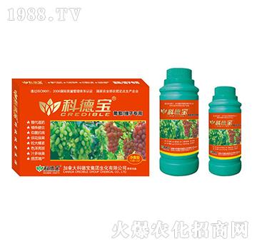 ���������ӌ��àI�B(y��ng)���a(ch��n)�{(di��o)�턩-�Ƶ�