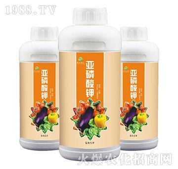 �������-��(qi��ng)ɭ�r(n��ng)��