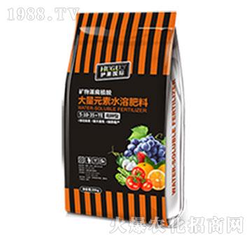 ����ʹ���Ԫ��ˮ�ܷ���-�o�����H