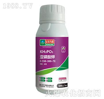 �������0-550-300+TE-���S�f(w��n)¡