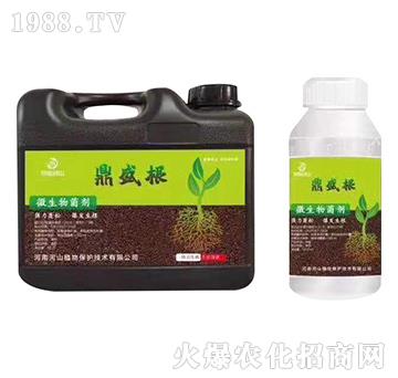 ��(qi��ng)��������-��ʢ��-��ʢ��ɽ