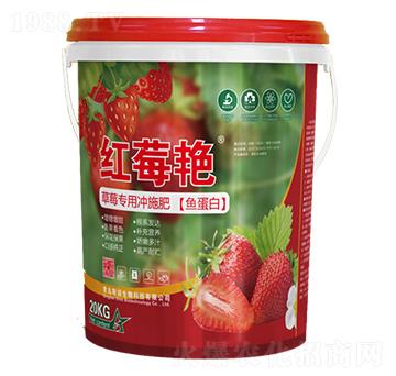 ��ݮ��(zhu��n)�Û_ʩ�ʣ��~(y��)���ף�-�tݮ�G-˹�Z����