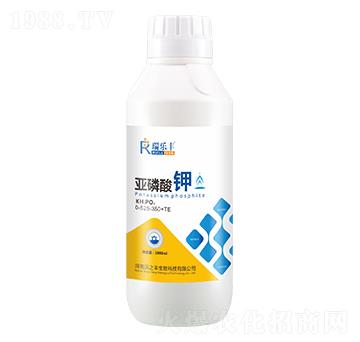 �������0-525-350+TE-���S-��Gֲ��