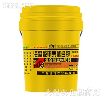 ������ך��������-���w�r�I(y��)