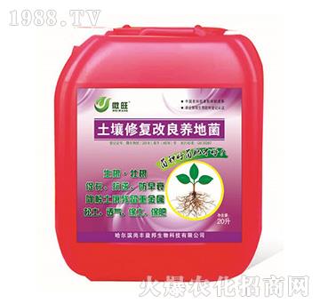 �����ޏ�(f��)�����B(y��ng)�ؾ�-΢��-���S���