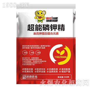 ������⛾�-�A��-��ɭ�r��