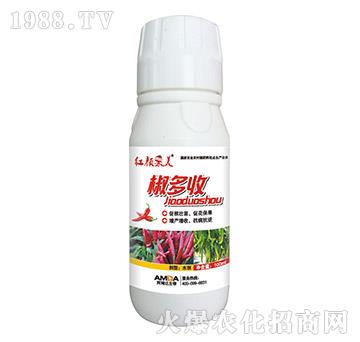 ������-�t���-��ķ�_