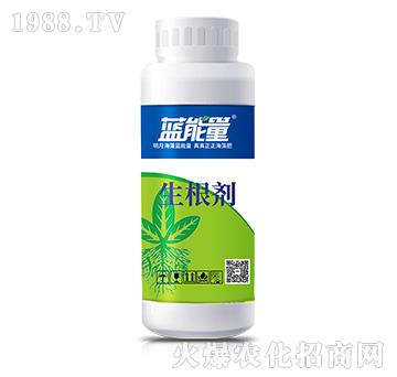 ������-�{(l��n)����