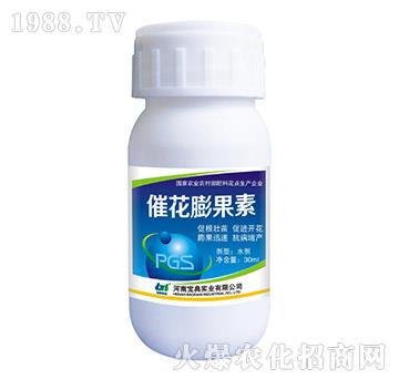 �߻������-���䌍(sh��)�I(y��)