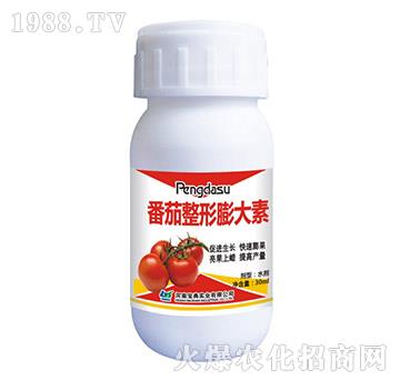 �������������-���䌍�I(y��)