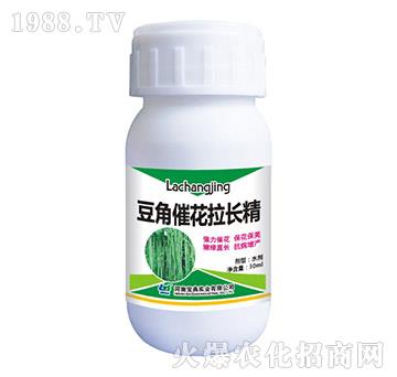 ���Ǵ߻����L(zh��ng)��-���䌍(sh��)�I(y��)