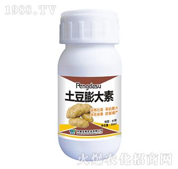 ���������-���䌍�I(y��)