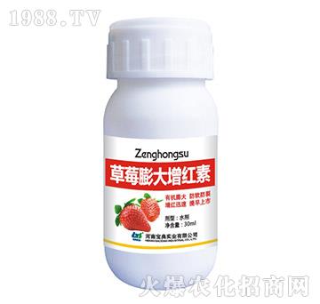 ��ݮ������t��-���䌍�I(y��)