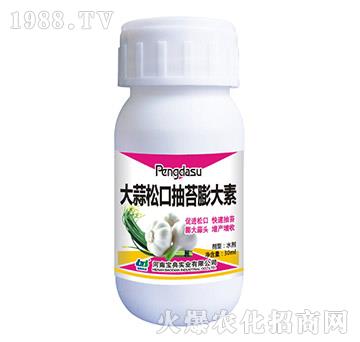 �����ɿڳ�̦�����-���䌍�I(y��)