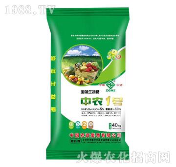 ���������-���r1̖-���r