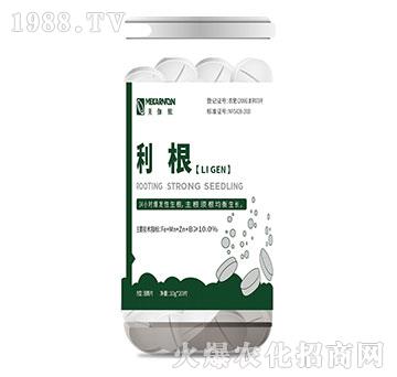 ����-��٤�z