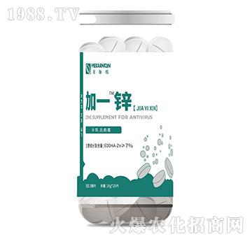 ΢��Ԫ�����vƬ-��һ�\-��٤�z