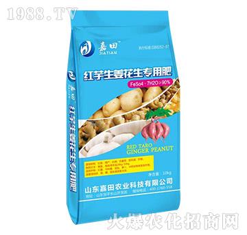 �t�������������÷�-�����r(n��ng)�I(y��)