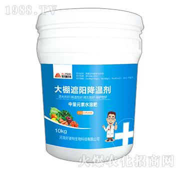 ������ꖽ��؄�-������