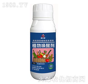 ֲ��ф�-��֮��