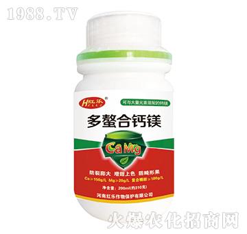 200ml�������}�V-�t��(l��)