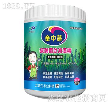 ̼ø���ĺ��徫-������-������