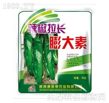 �������L(zh��ng)�����-��˼�D�r(n��ng)�I(y��)