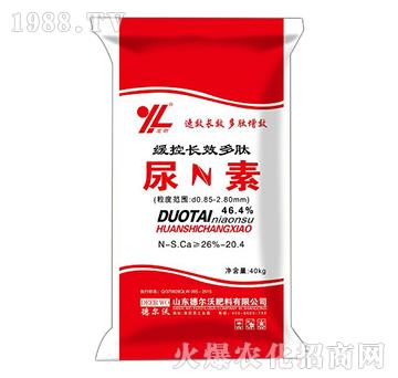 �����LЧ��������-���-� ���