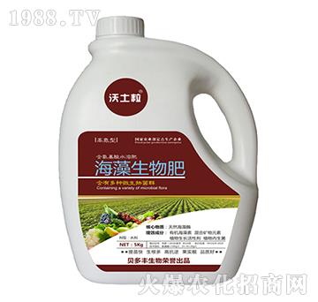 �ߵ��ͺ����������-ؐ���S