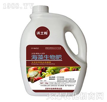 ƽ���ͺ����������-ؐ���S