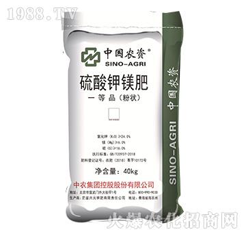 ������V��-��ʩ��