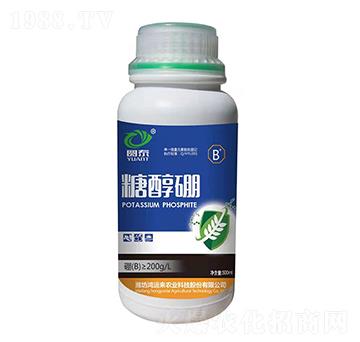 �Ǵ���-�@̩-���\��