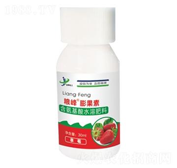 ��ݮ��(zhu��n)�ú�������ˮ�ܷ��� �Z�塤����� ���ƻ���