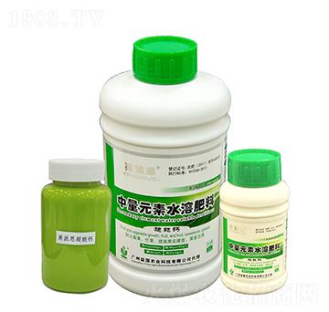 Ӣ��˼�������} ����r�I(y��)