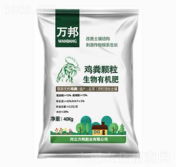 �u�S�w�������ЙC��-�f��