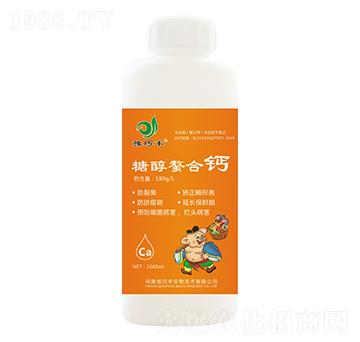 �Ǵ������}-ԥ���S