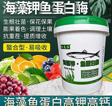 ������~����ø-������