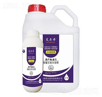 ���w�Ǵ���-������-�P������