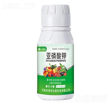 �������-������